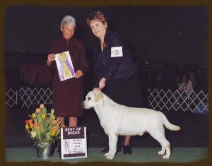 Runner Show Photo